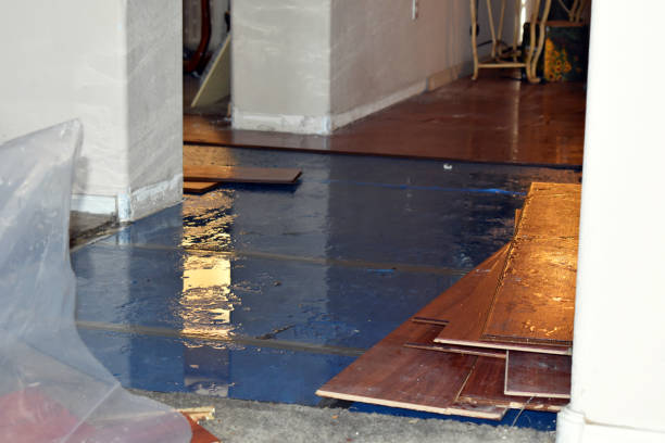 Professional Basement Flood Cleanup technician working in Jackson, MI
